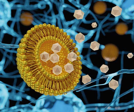 Liposomes / Encapsulations