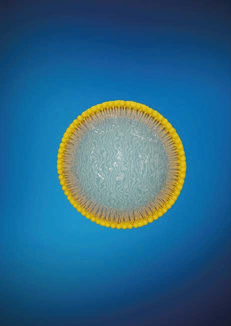 Nanoemulsions